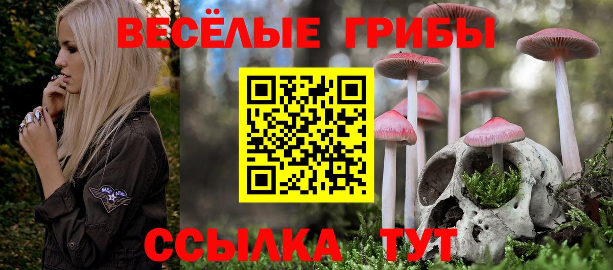 наркошоп  Вход с VPN  Ростов Великий  Галлюциногенные грибы мухоморы 
